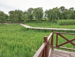 湿地公园
