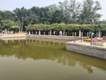 公园 湖