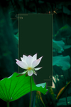 大暑