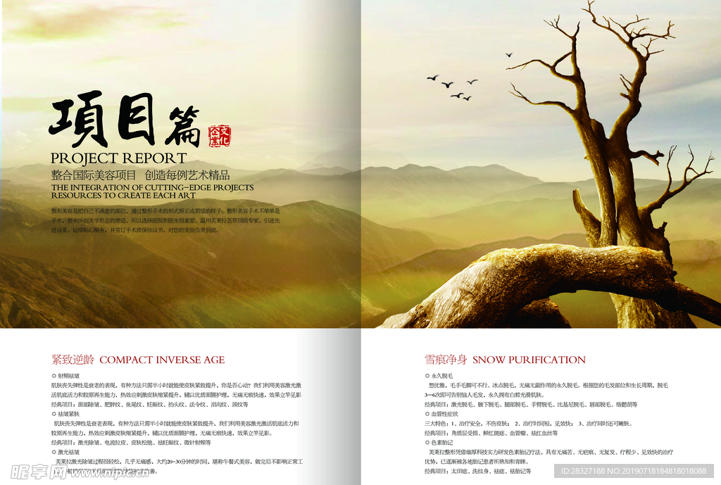 企业文化