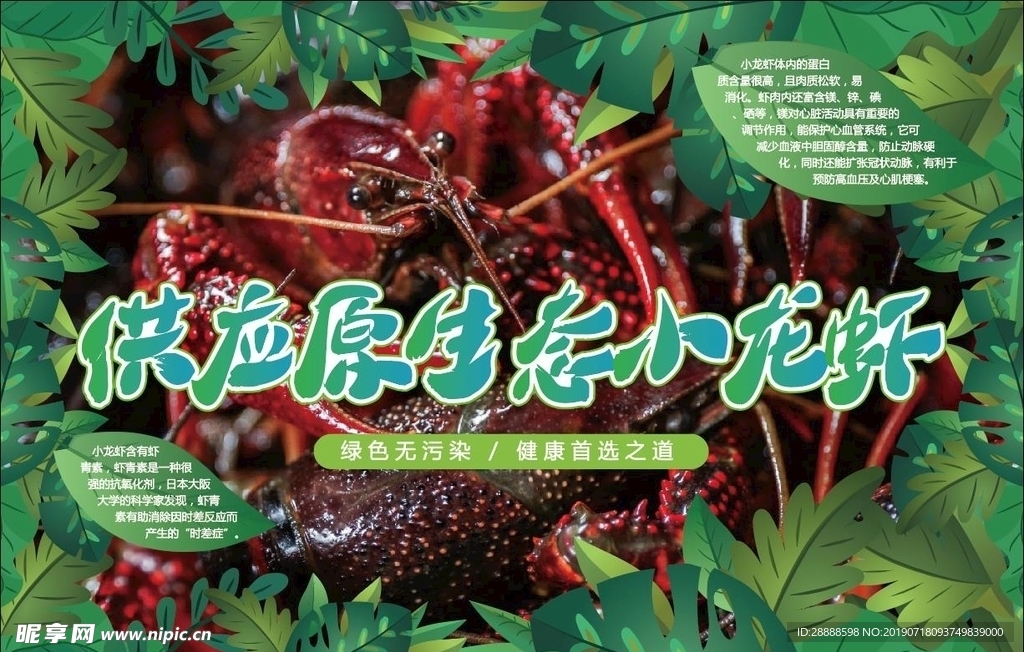供应原生态小龙虾