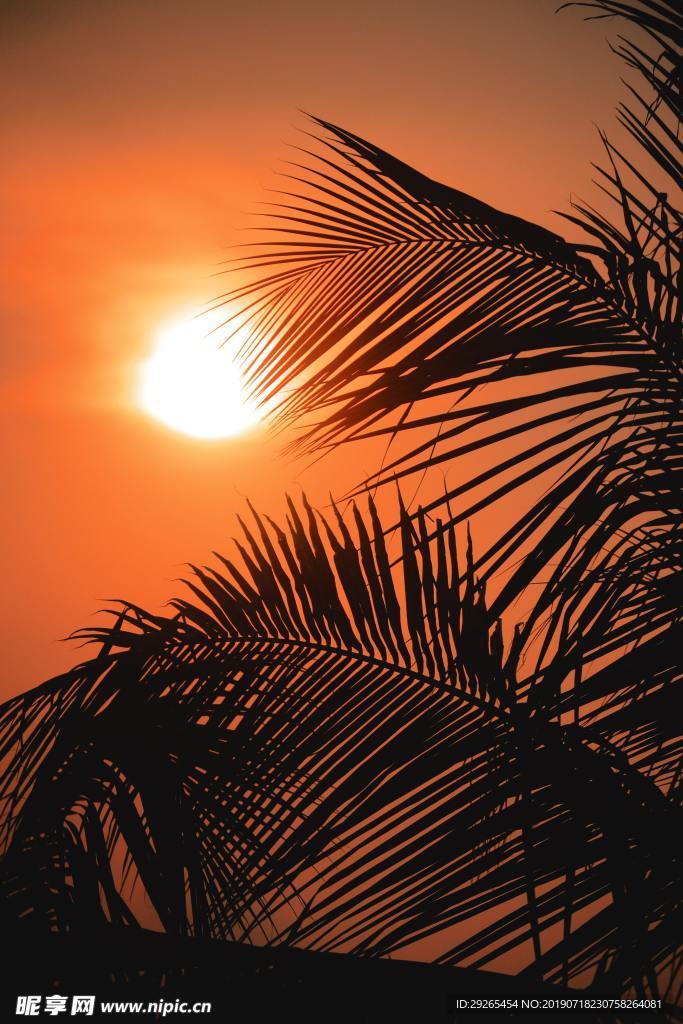 夕阳