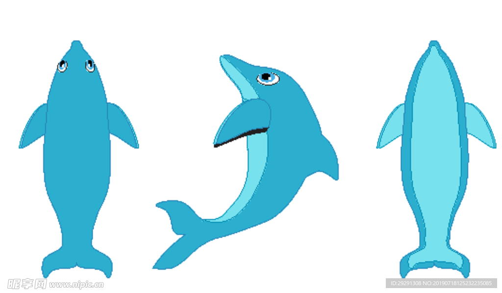 海豚  海洋动物