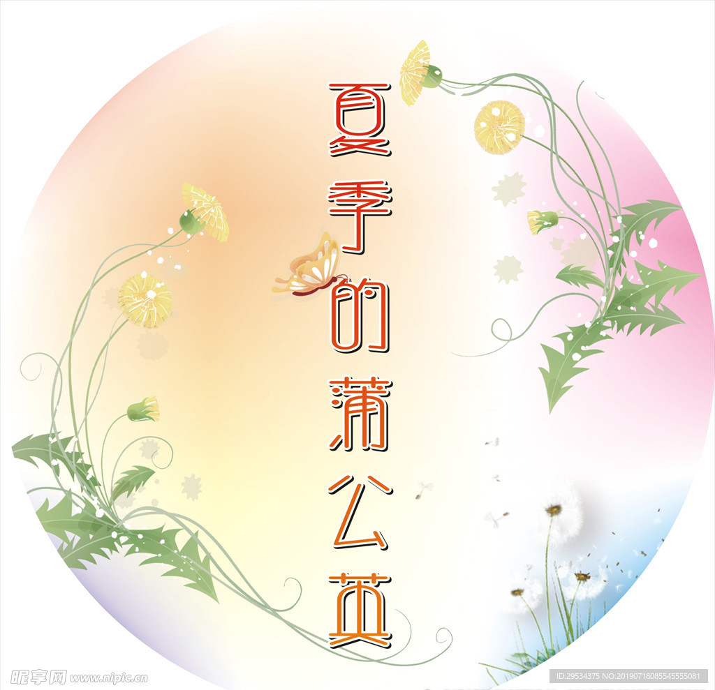 夏季的蒲公英