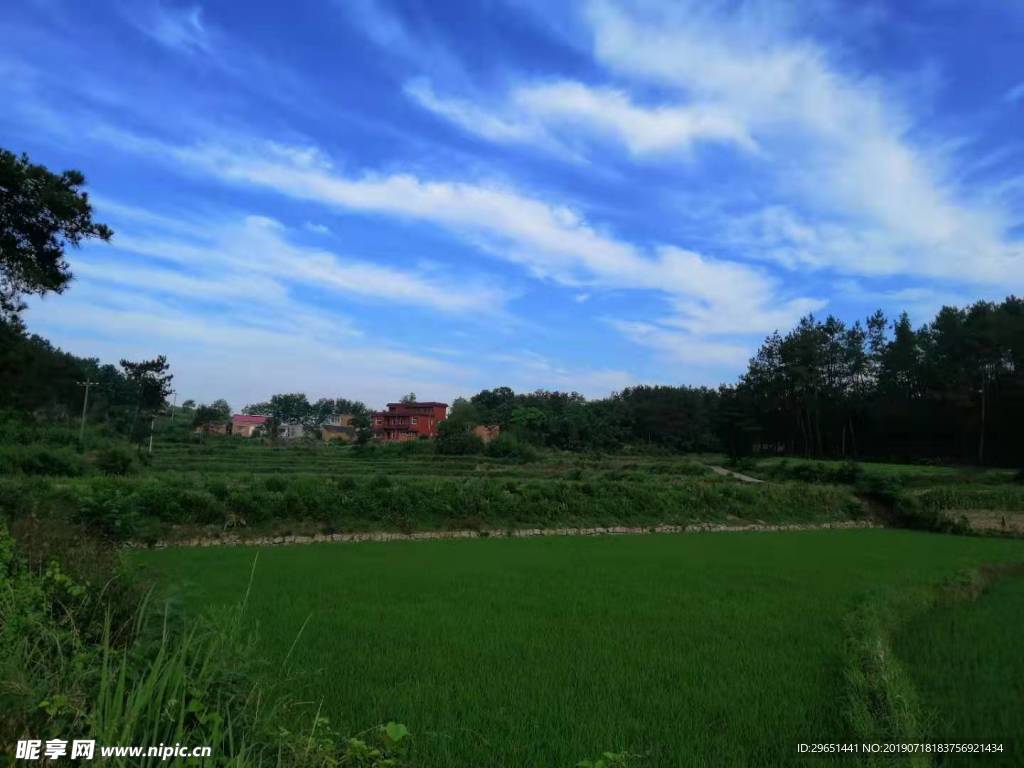 田园风景