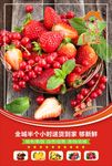 草莓水果海报