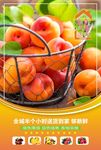黄桃海报