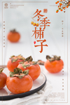 冬季柿子