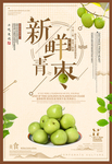 清新创意青枣海报