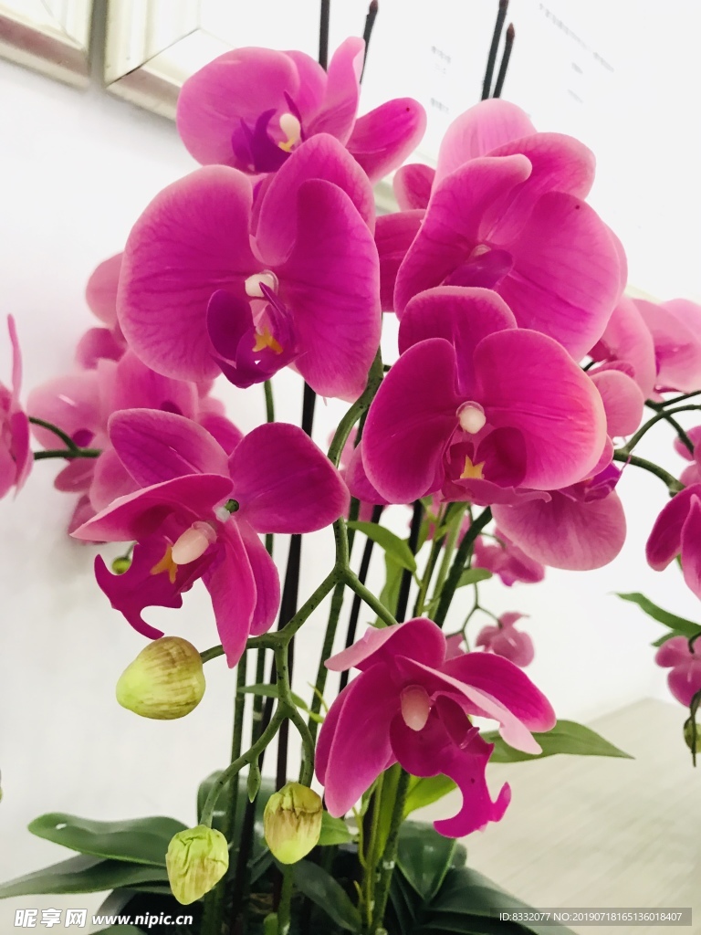 假花