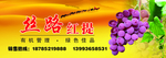 思路红提
