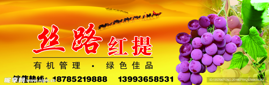 思路红提