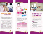 孕期保健产前检查孕妇大学宫腹腔