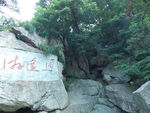 泰山书法