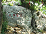 泰山书法