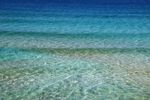 海洋