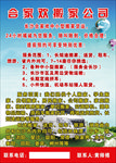 搬家公司宣传单