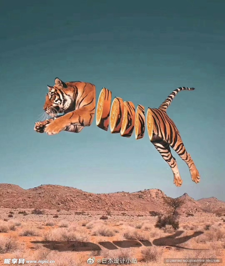 老虎创意海报背景画面