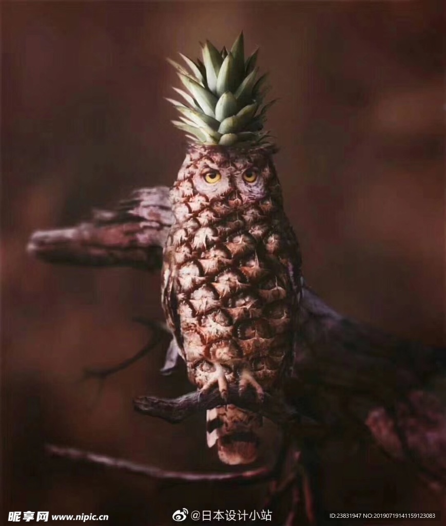 菠萝创意海报背景画面