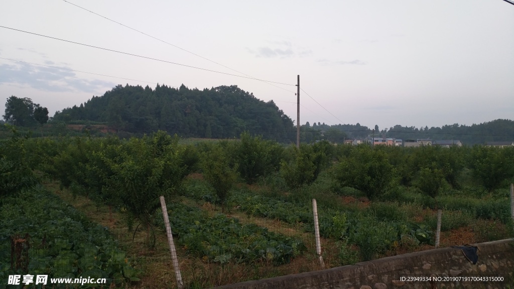 农村早晨