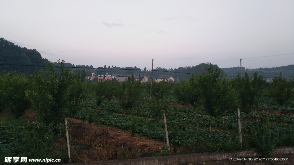 早晨