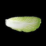 蔬菜