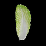 蔬菜