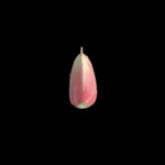 蔬菜