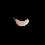 蔬菜