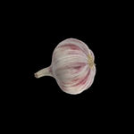 蔬菜