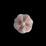 蔬菜