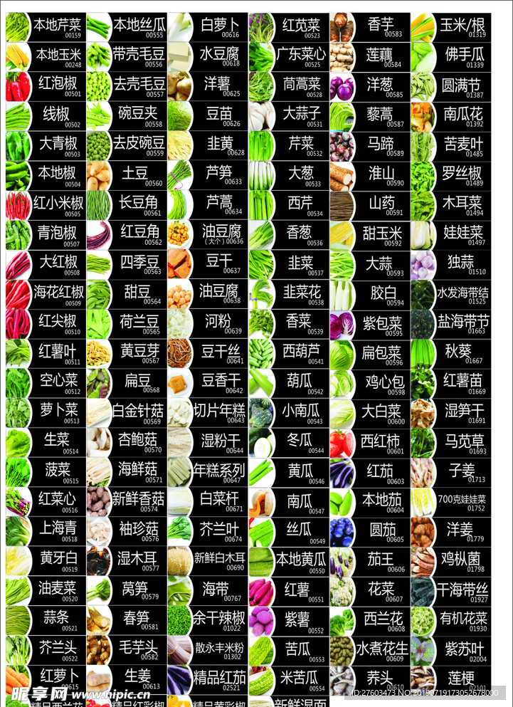 蔬菜品名大全