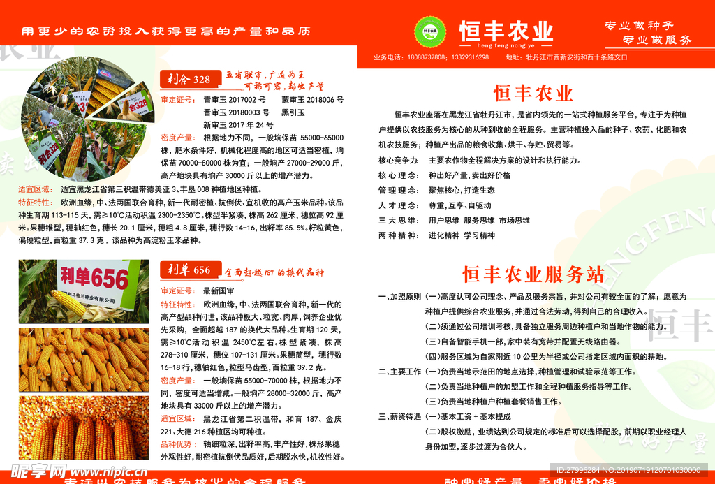 赵欣报
