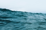 海