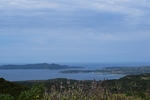 海面