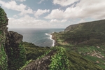 山
