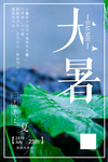 大暑海报
