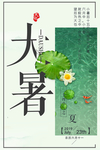 大暑海报