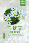 三伏天