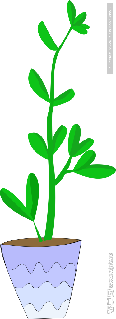 植物盆栽