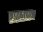 鱼缸生态3d模型