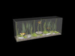 鱼缸生态3d模型