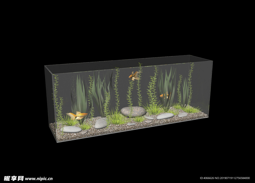 鱼缸生态3d模型