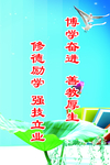 企业文化