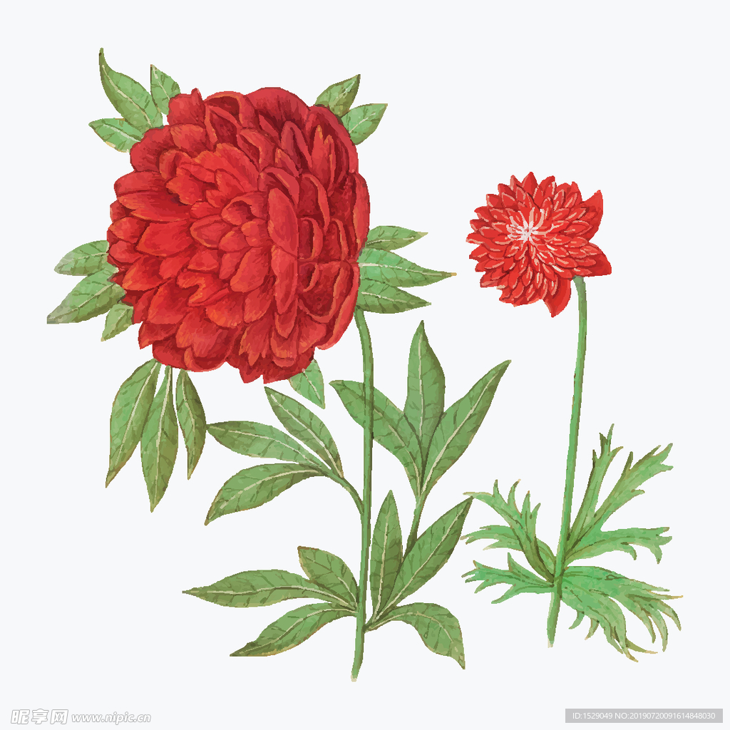 复古花卉矢量