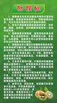 泥猴桃简介 水果