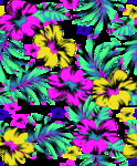 扶桑花