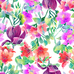 蔷薇花
