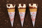 卡缇诺脆筒冰淇淋系列