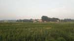 农村的早晨